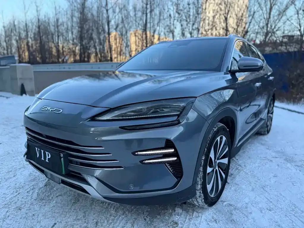BYD PLUS New Energy 2023 из CN, фото 1