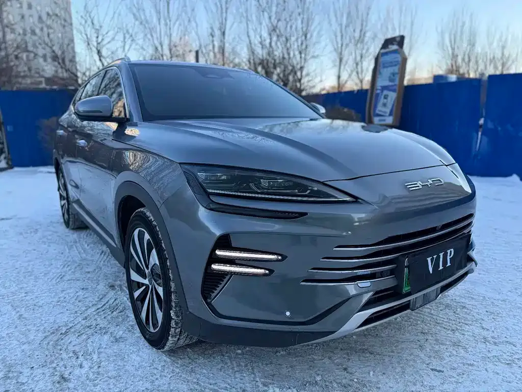 BYD PLUS New Energy 2023 из CN, фото 7