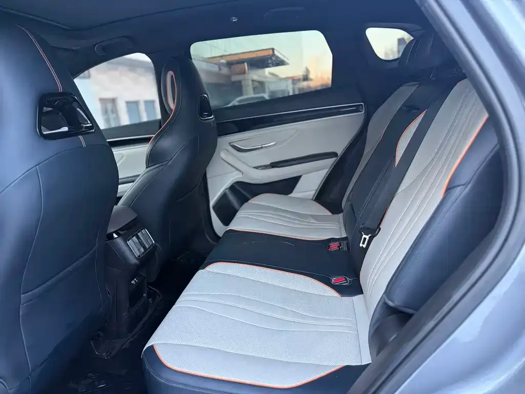 BYD PLUS New Energy 2023 из CN, фото 4
