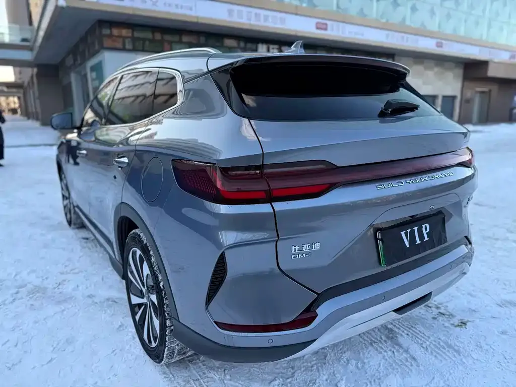 BYD PLUS New Energy 2023 из CN, фото 5