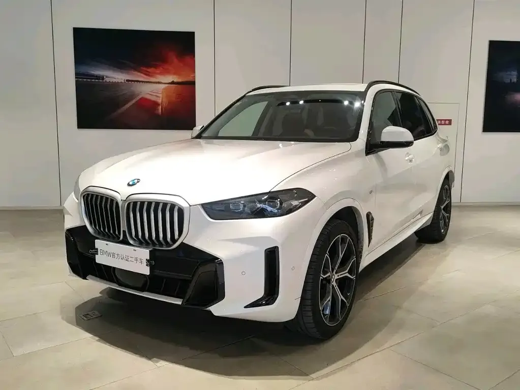 BMW X5 2024 из CN, фото 1