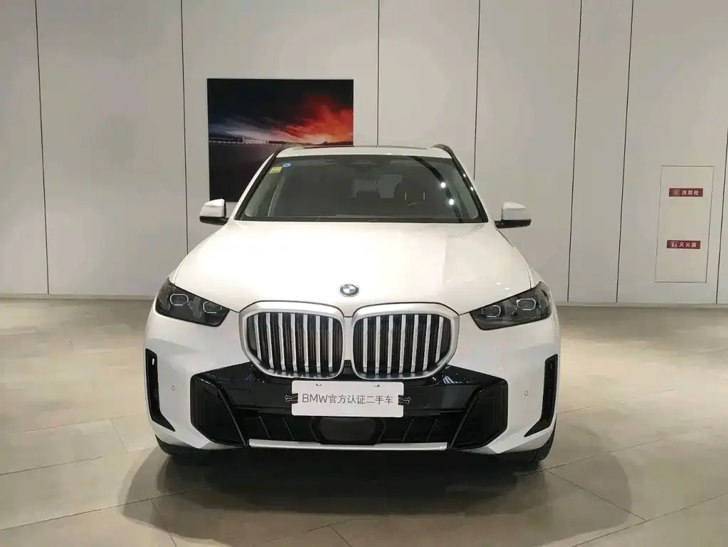 BMW X5 2024 из CN, фото 3