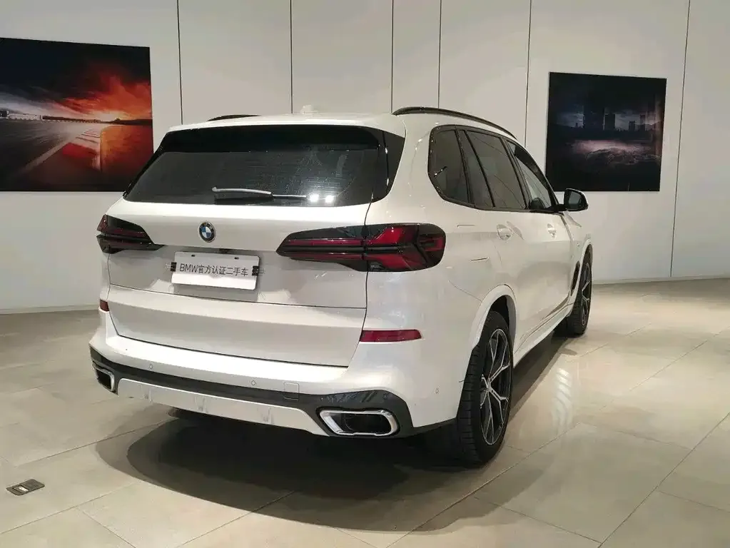 BMW X5 2024 из CN, фото 5