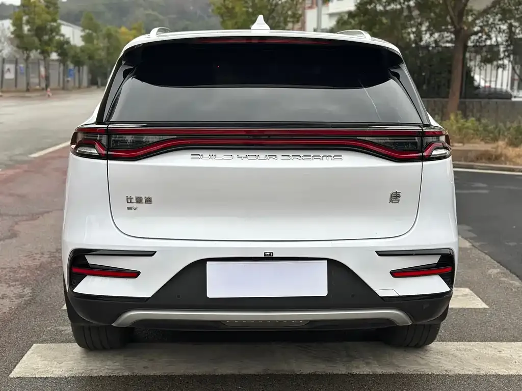 BYD Tang New Energy 2022 из CN, фото 7