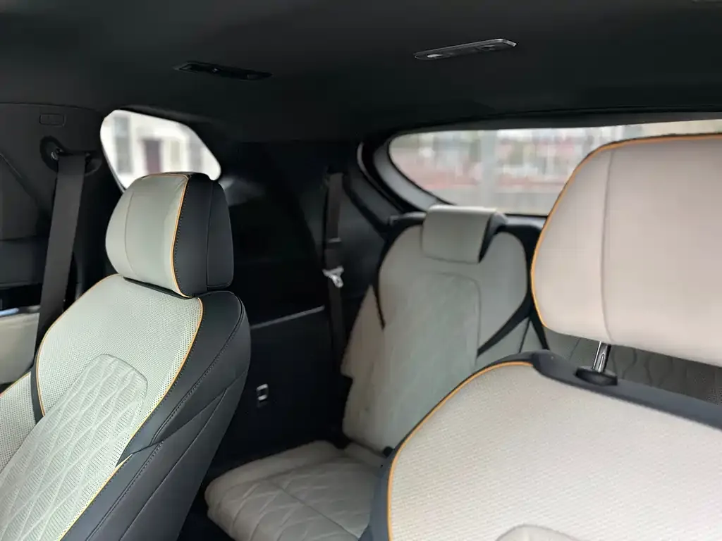 BYD Tang New Energy 2022 из CN, фото 4