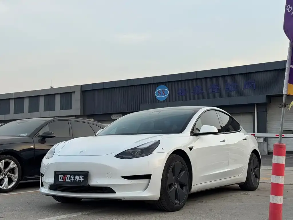 Tesla Model 3 2021 из CN, фото 1