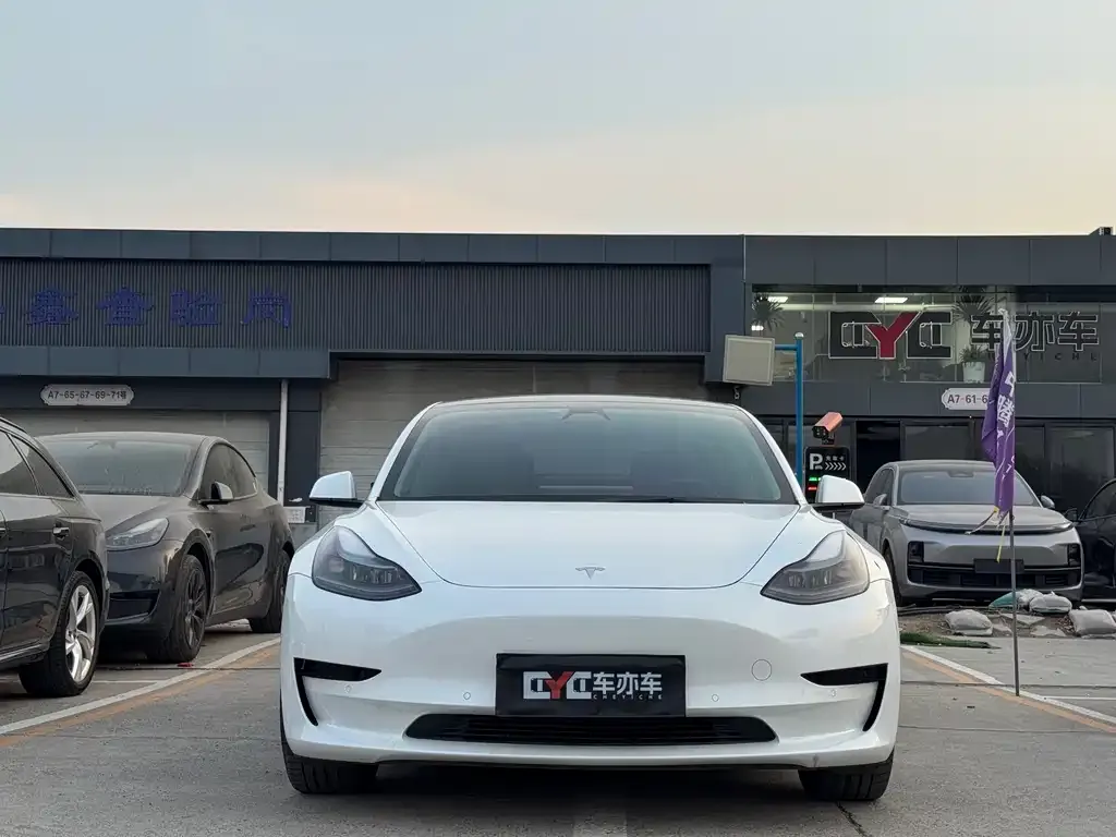 Tesla Model 3 2021 из CN, фото 10