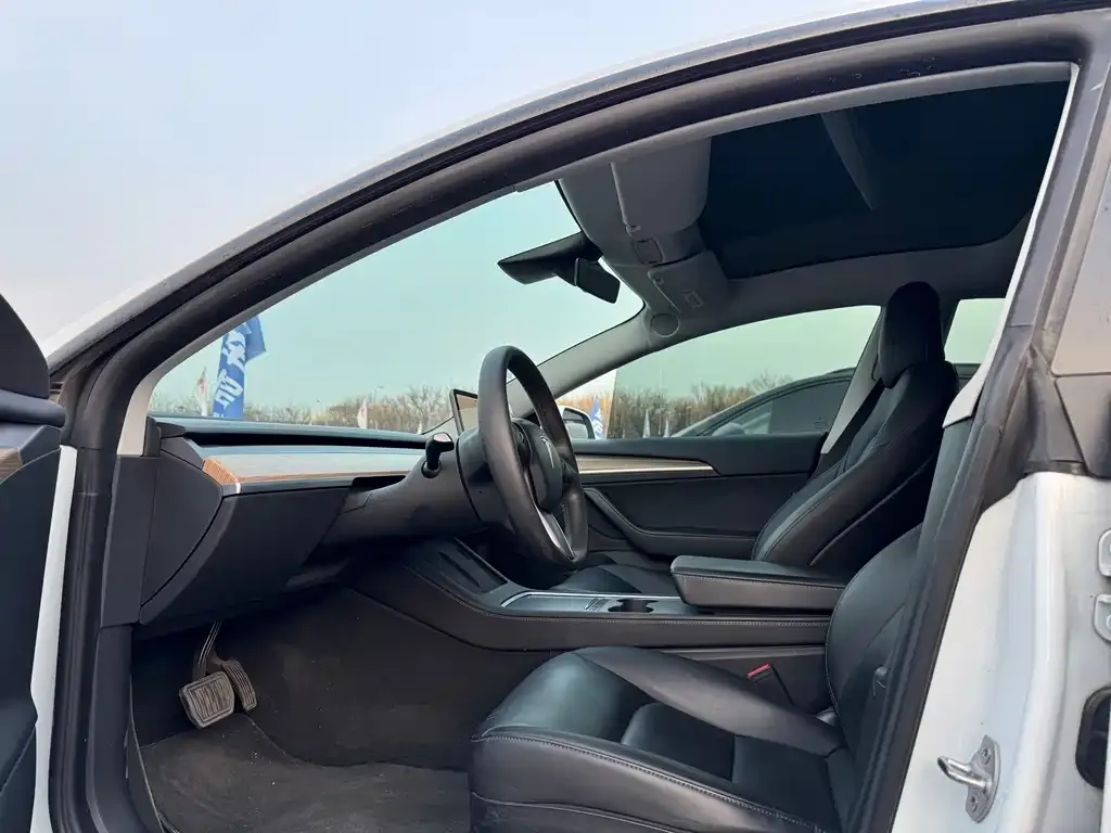 Tesla Model 3 2021 из CN, фото 8