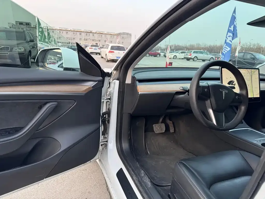 Tesla Model 3 2021 из CN, фото 9