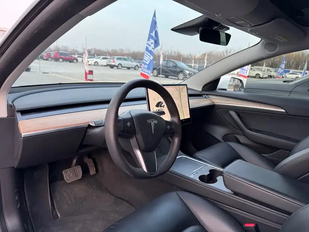 Tesla Model 3 2021 из CN, фото 7