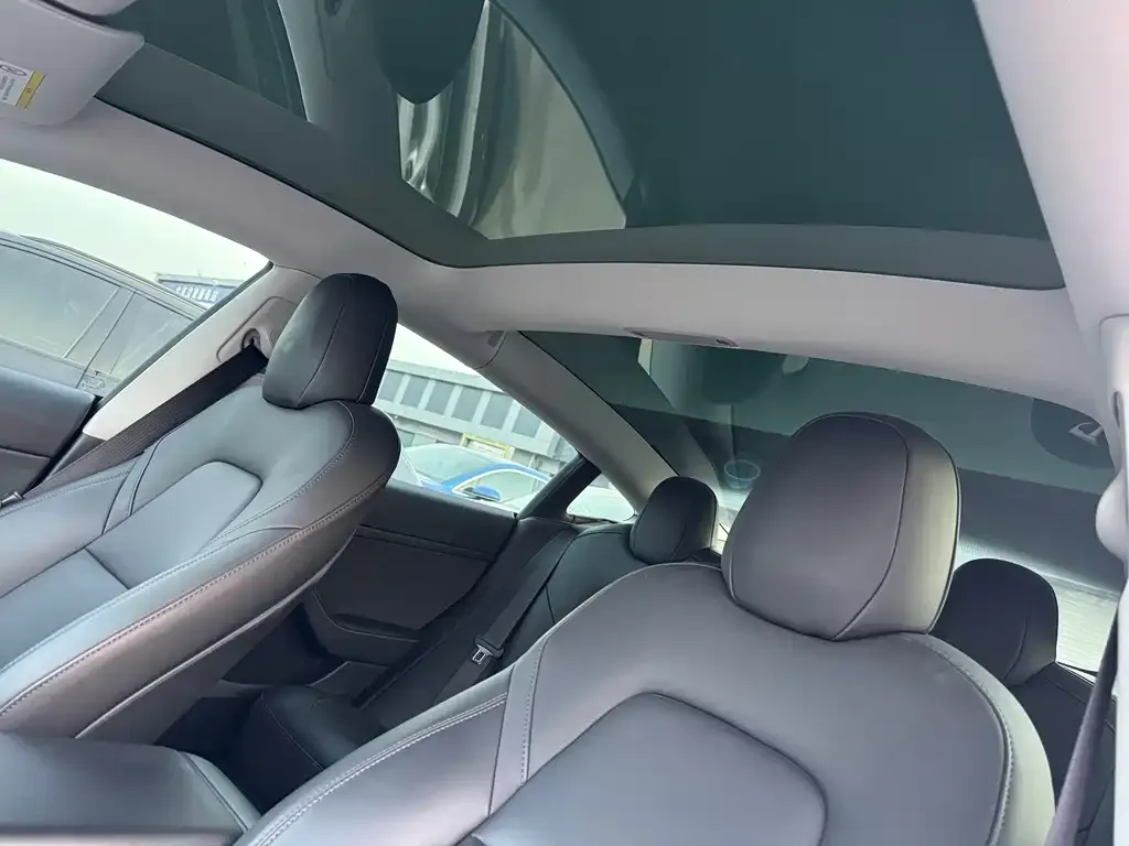 Tesla Model 3 2021 из CN, фото 2