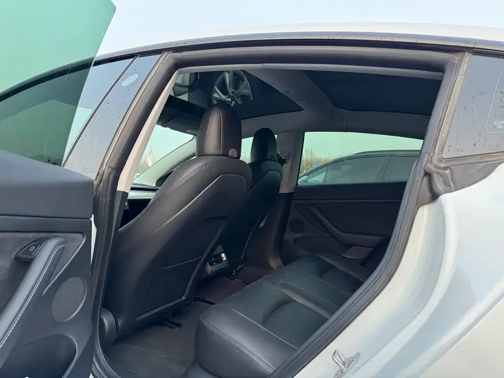 Tesla Model 3 2021 из CN, фото 6