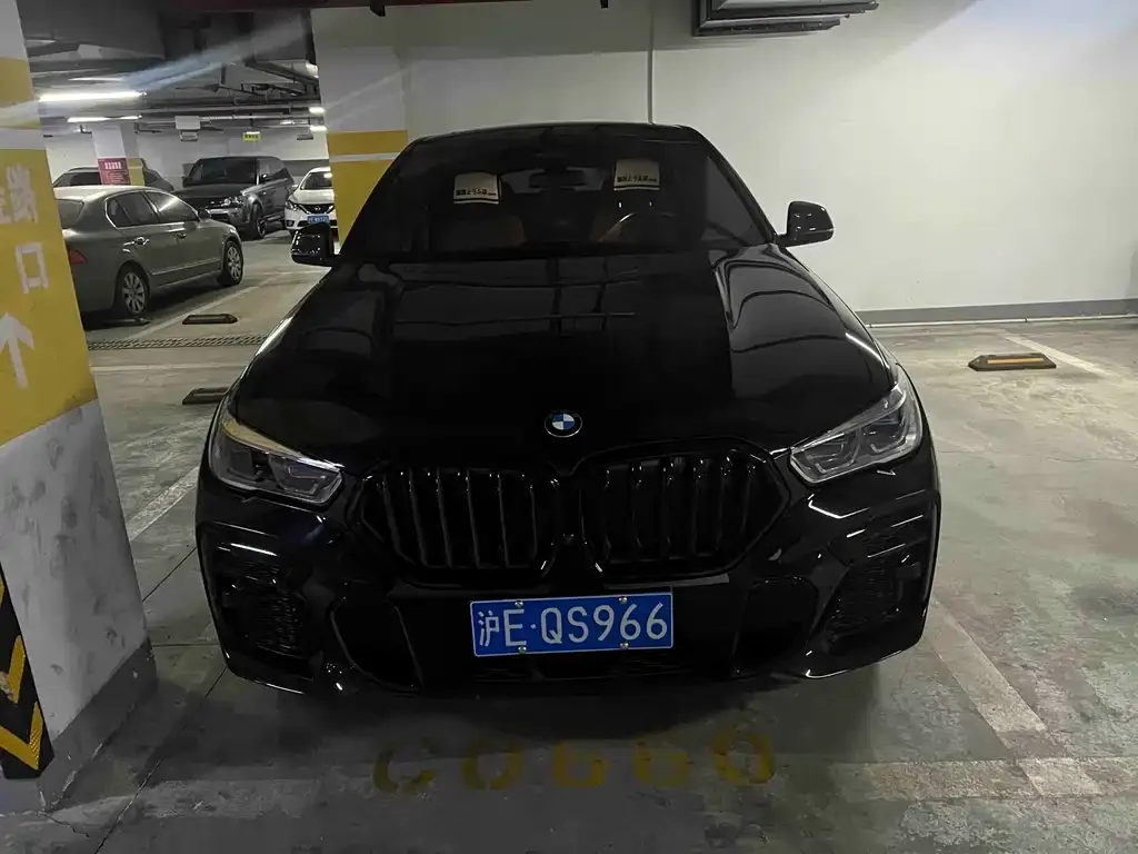 BMW X6 2023 из CN, фото 4
