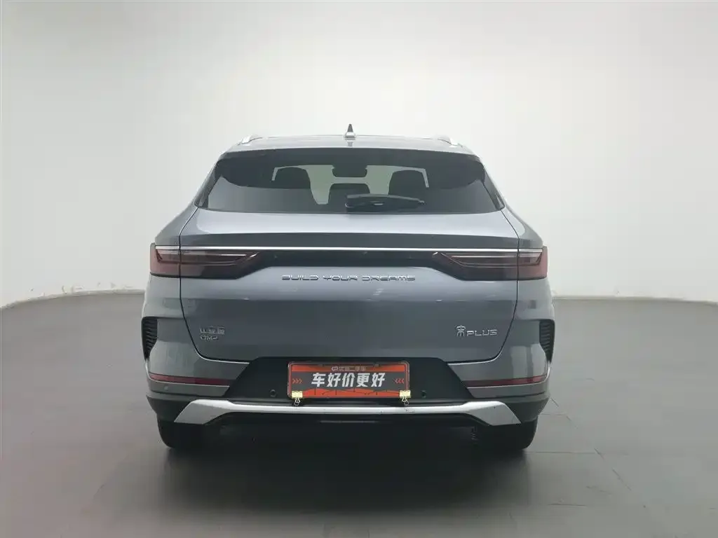 BYD PLUS New Energy 2022 из CN, фото 2