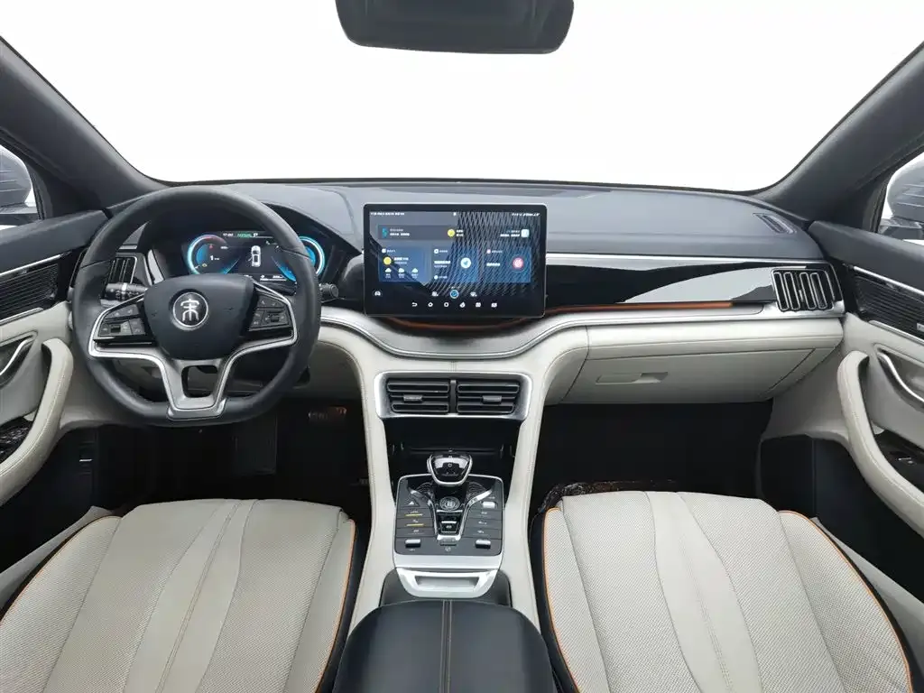 BYD PLUS New Energy 2022 из CN, фото 5
