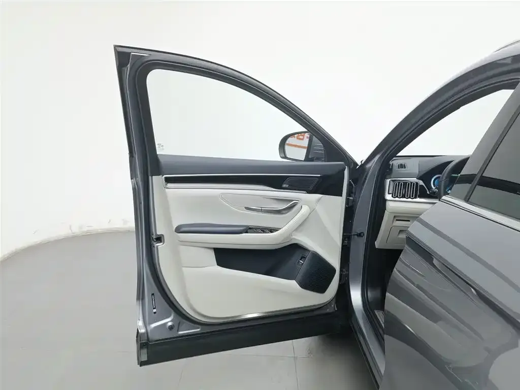 BYD PLUS New Energy 2022 из CN, фото 8