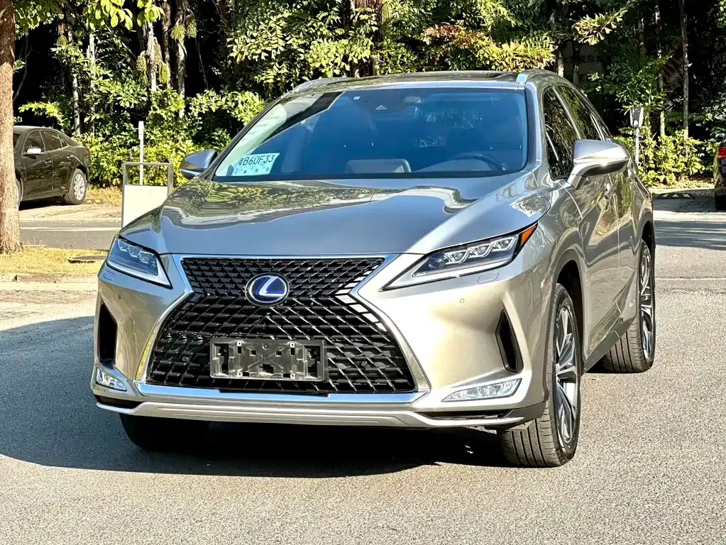 Lexus RX 2021 из CN, фото 1