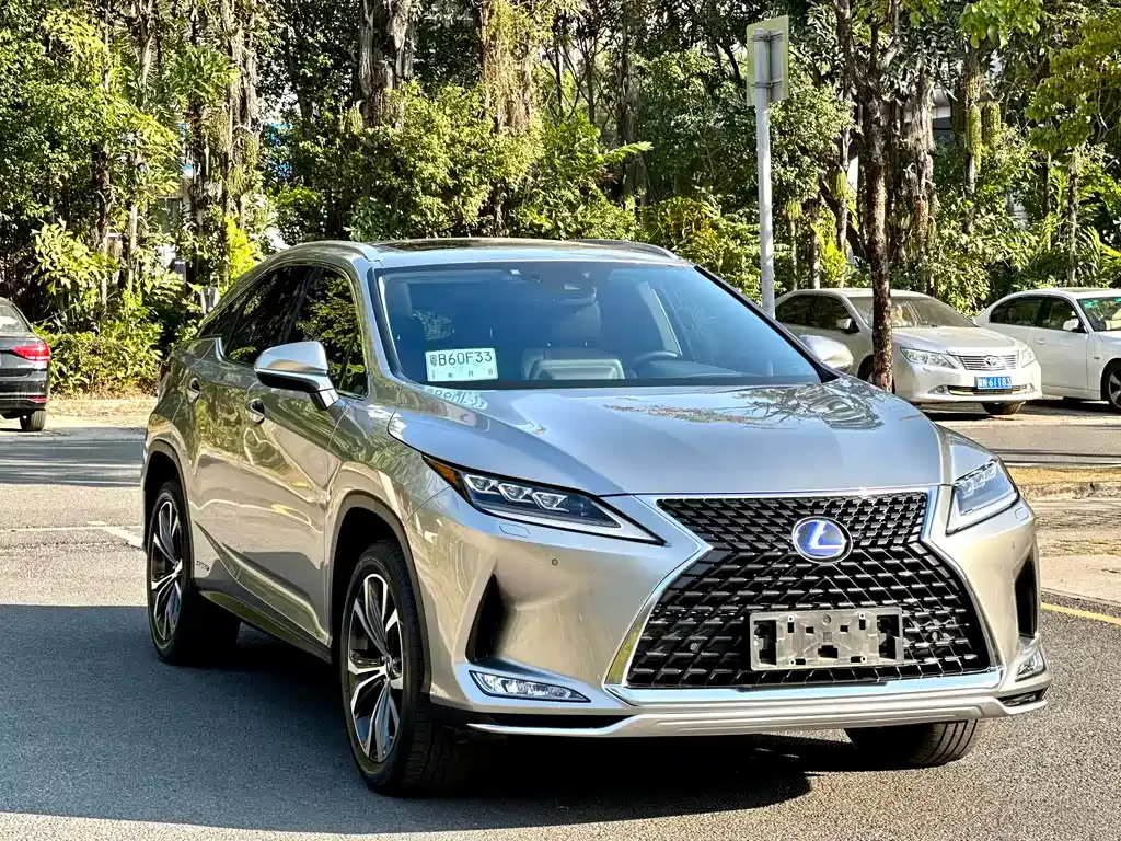 Lexus RX 2021 из CN, фото 10