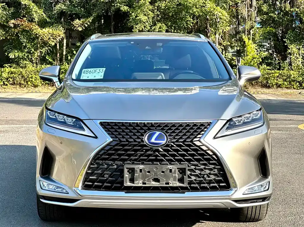 Lexus RX 2021 из CN, фото 8