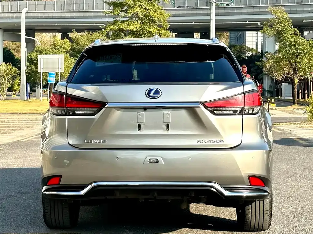 Lexus RX 2021 из CN, фото 7