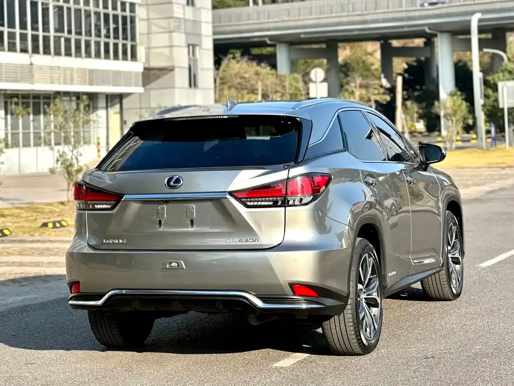 Lexus RX 2021 из CN, фото 4