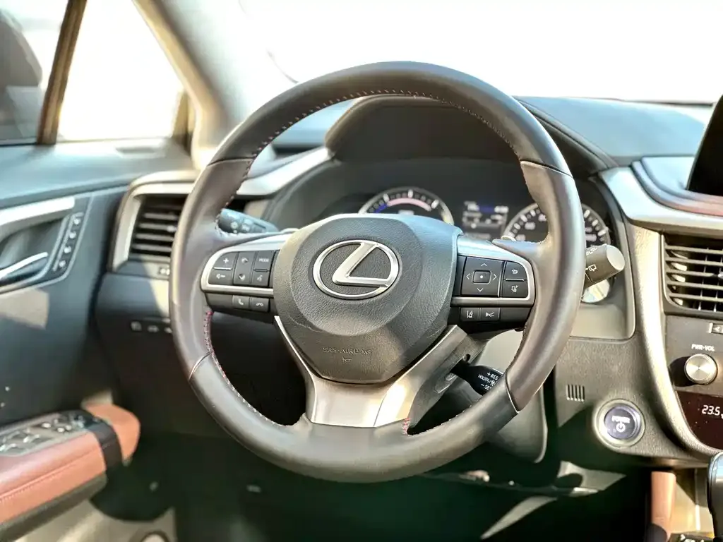 Lexus RX 2021 из CN, фото 6