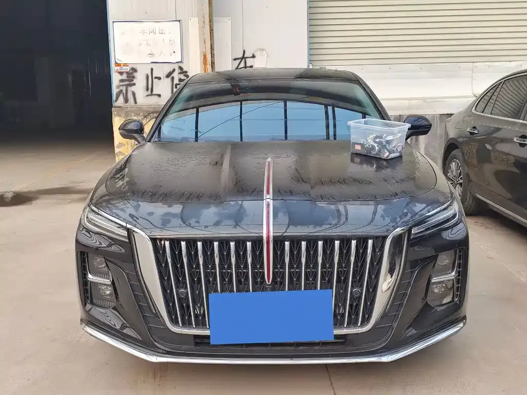 Hongqi H5 2024 из CN, фото 2