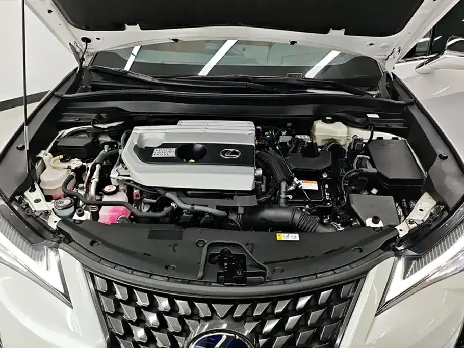 Lexus UX 2022 из CN, фото 10