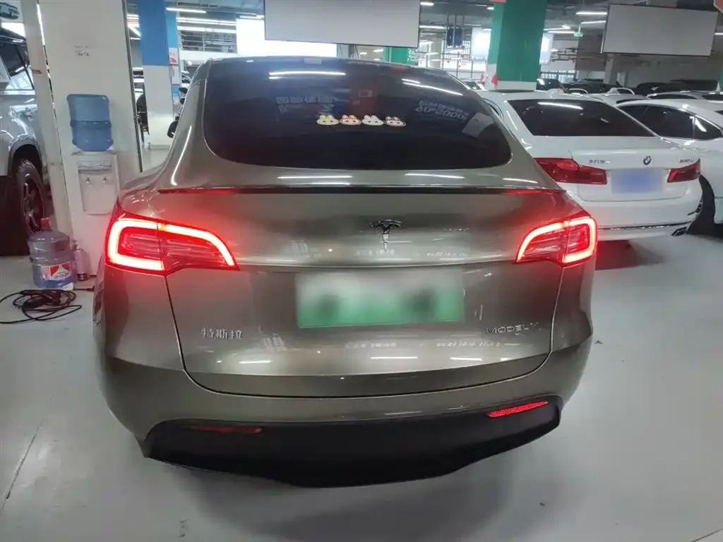 Tesla Model Y 2021 из CN, фото 9