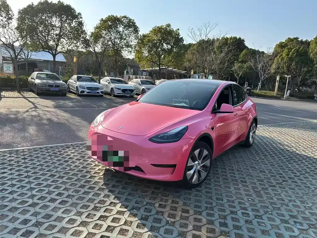 Tesla Model Y 2023 из CN, фото 1