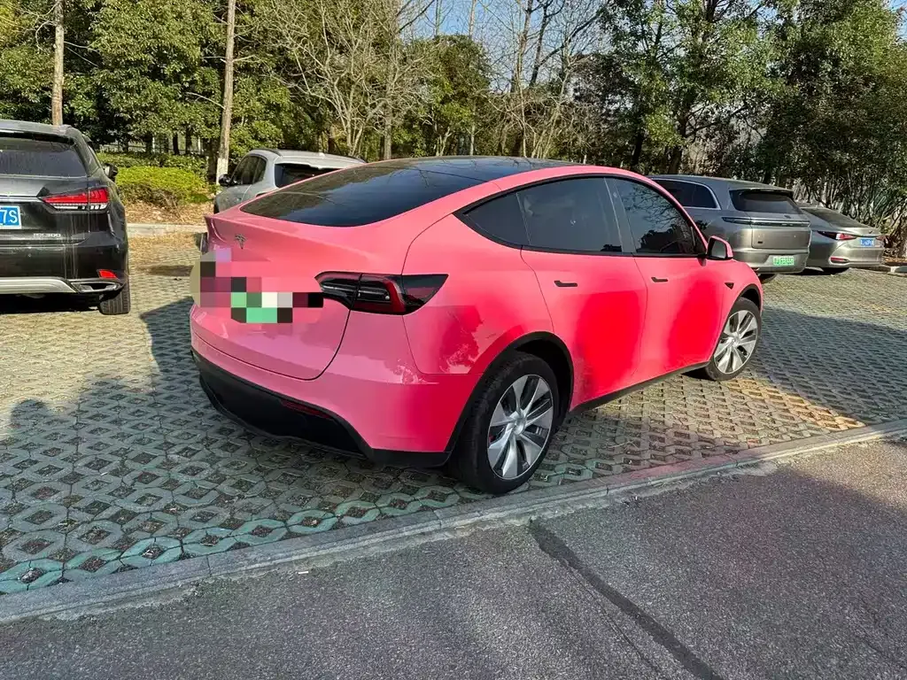Tesla Model Y 2023 из CN, фото 5