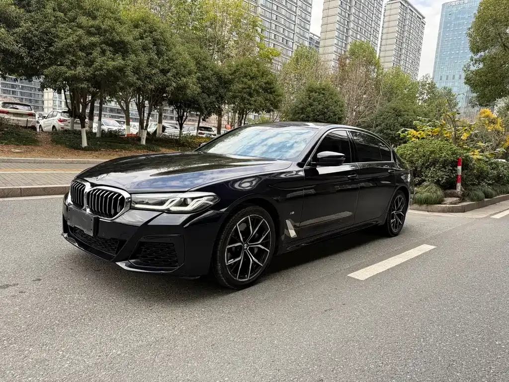 BMW 5 Series 2021 из CN, фото 10