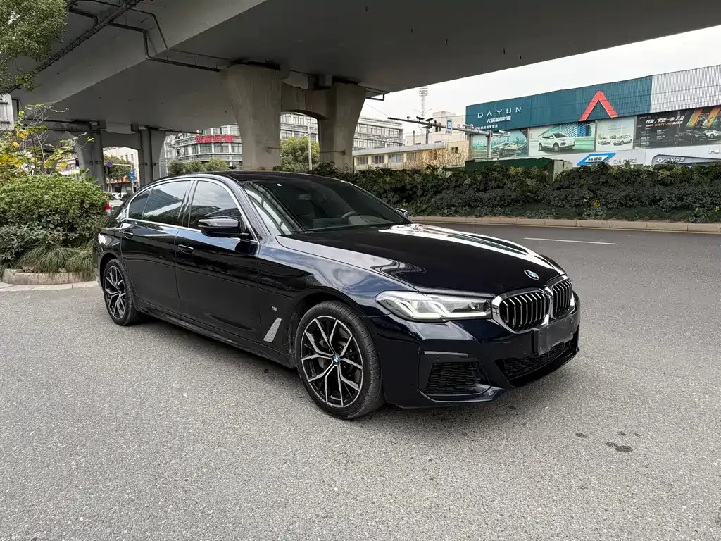 BMW 5 Series 2021 из CN, фото 9