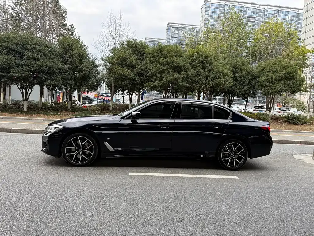 BMW 5 Series 2021 из CN, фото 8