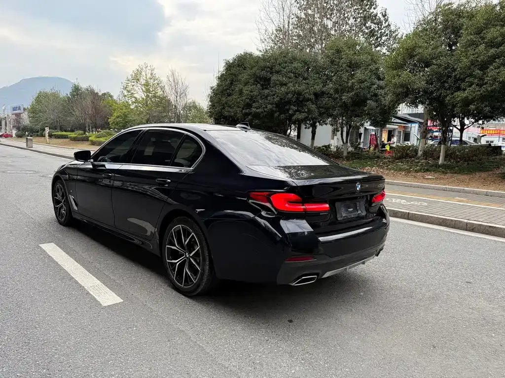 BMW 5 Series 2021 из CN, фото 7