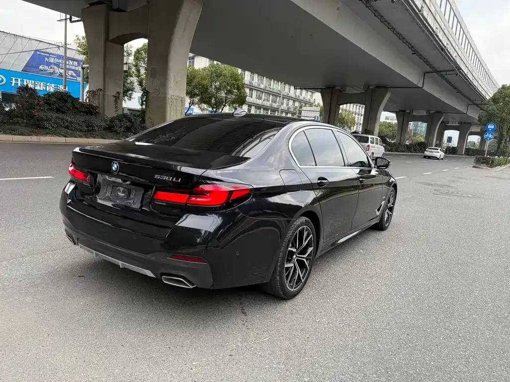 BMW 5 Series 2021 из CN, фото 5