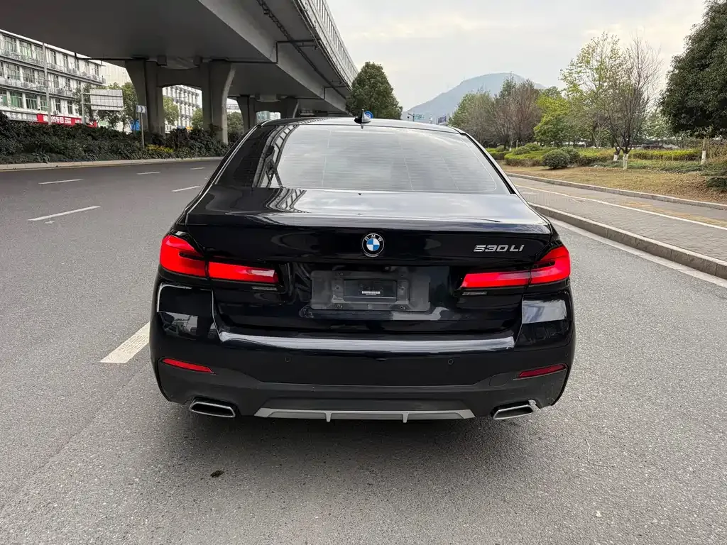 BMW 5 Series 2021 из CN, фото 3