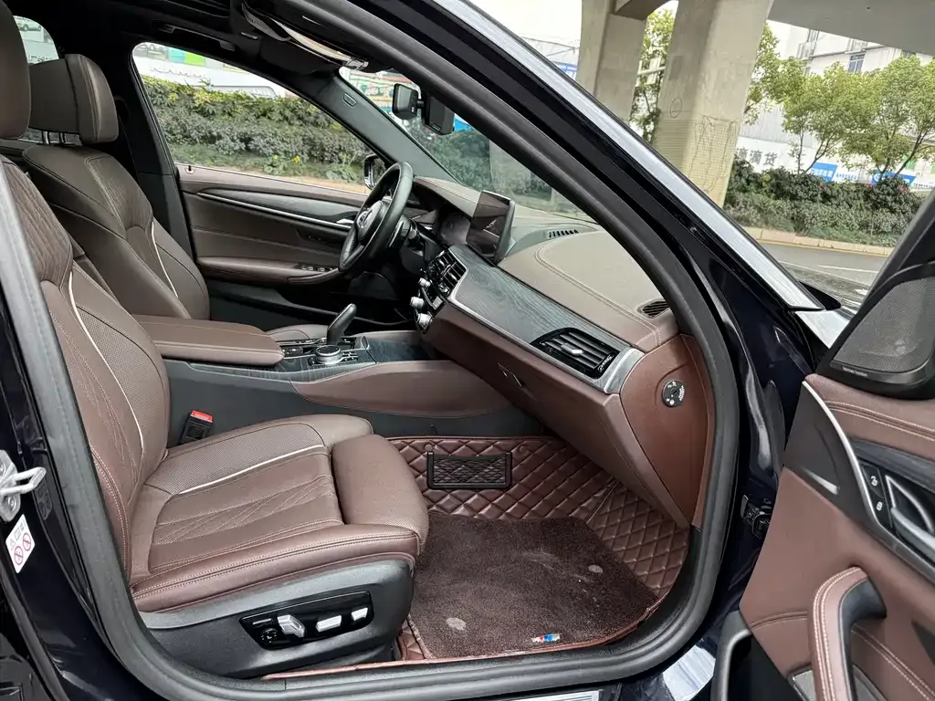 BMW 5 Series 2021 из CN, фото 4