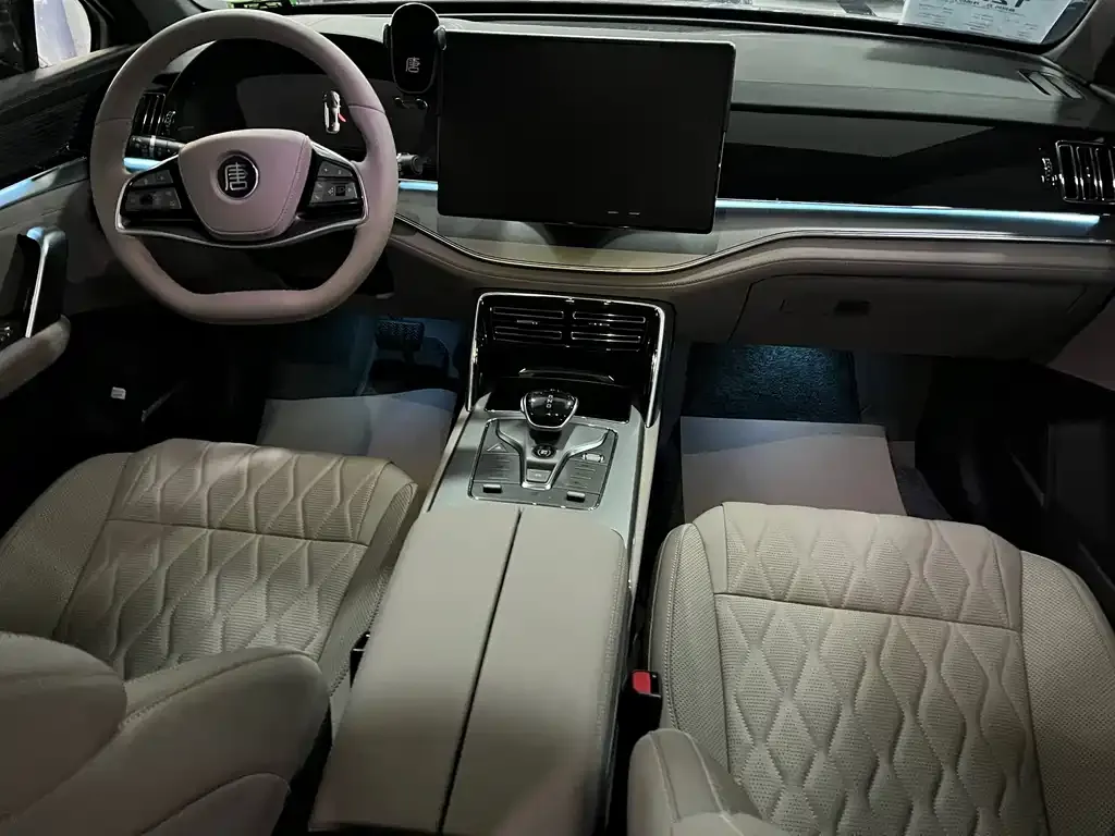 BYD Tang New Energy 2025 из CN, фото 4