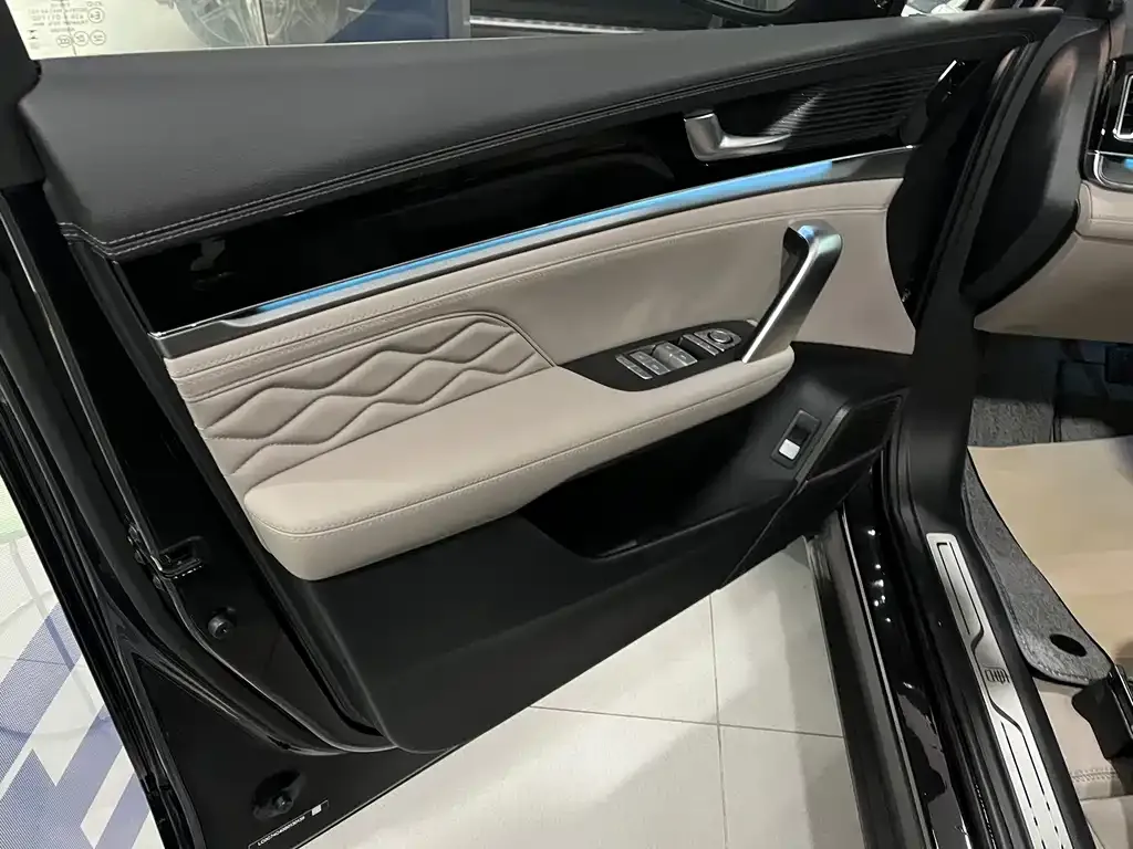 BYD Tang New Energy 2025 из CN, фото 10