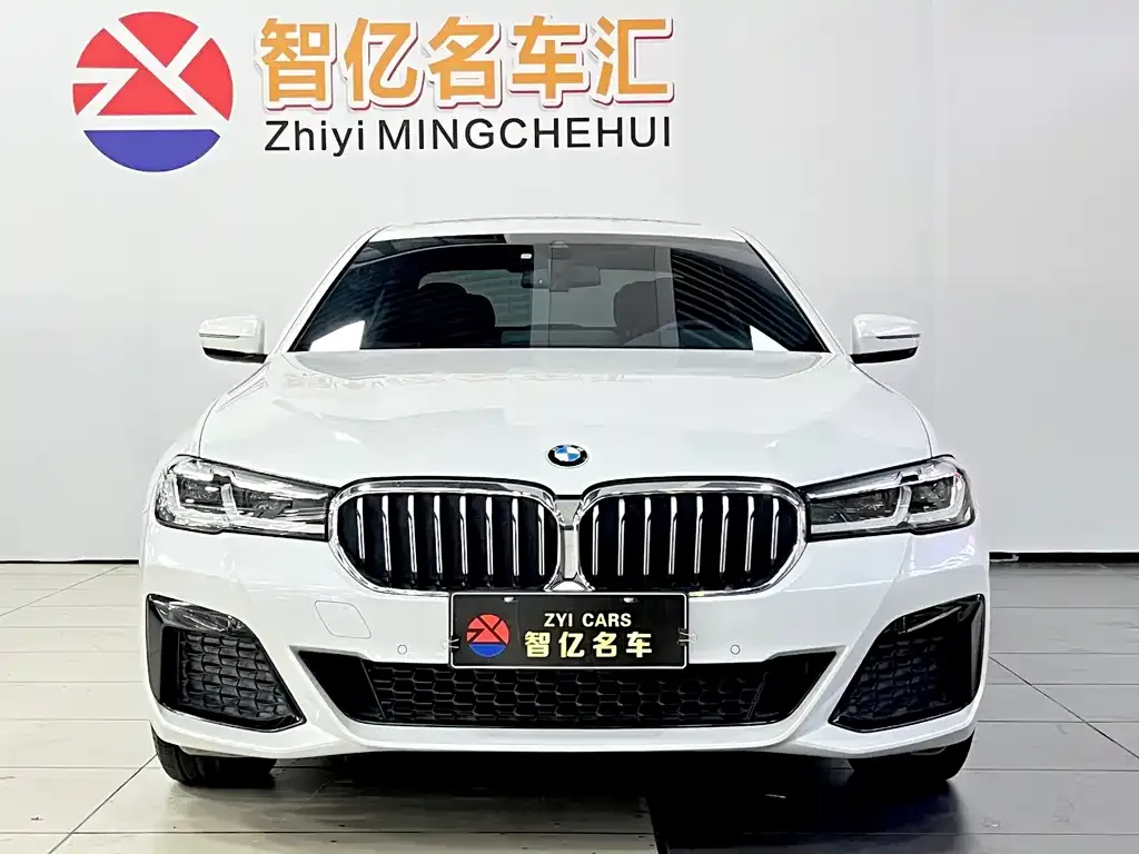 BMW 5 Series 2022 из CN, фото 7