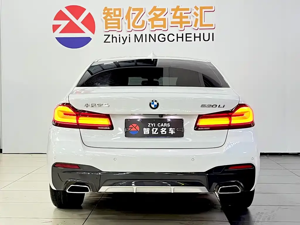 BMW 5 Series 2022 из CN, фото 9