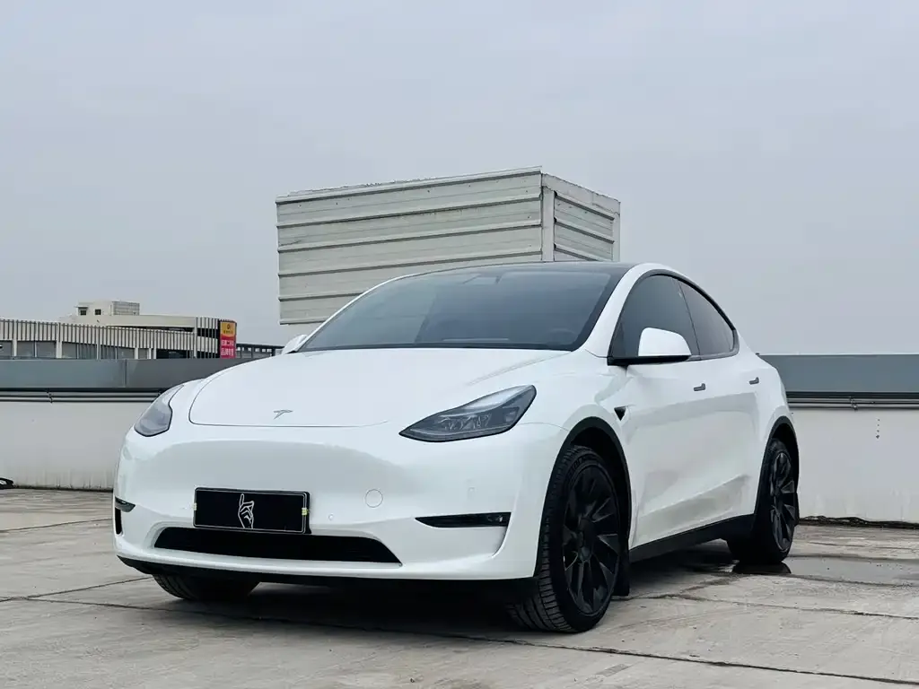 Tesla Model Y 2022 из CN, фото 1