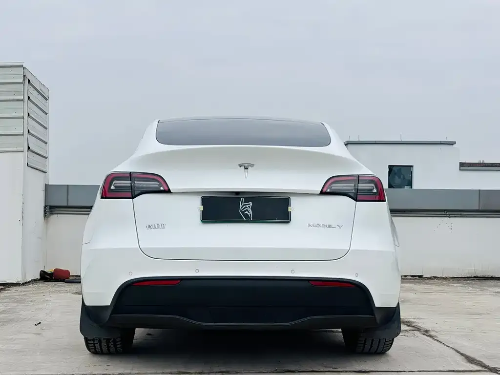 Tesla Model Y 2022 из CN, фото 2
