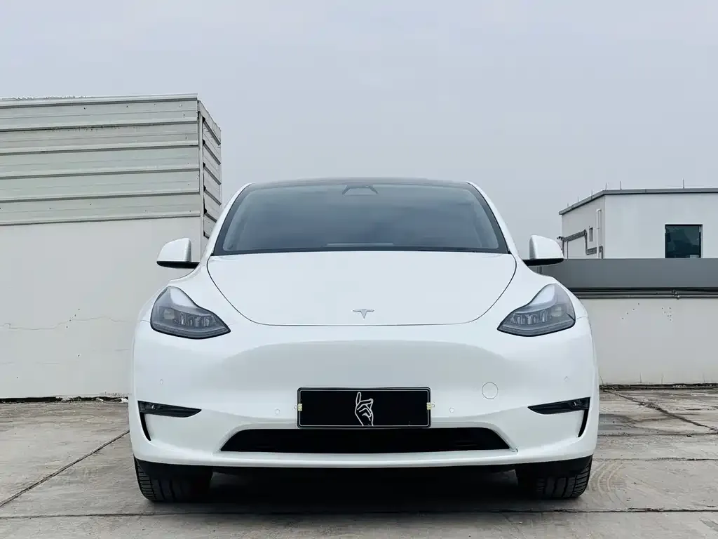 Tesla Model Y 2022 из CN, фото 4