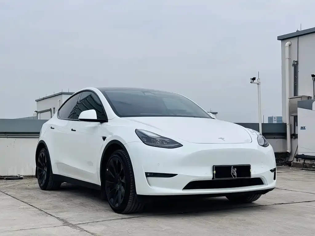 Tesla Model Y 2022 из CN, фото 3
