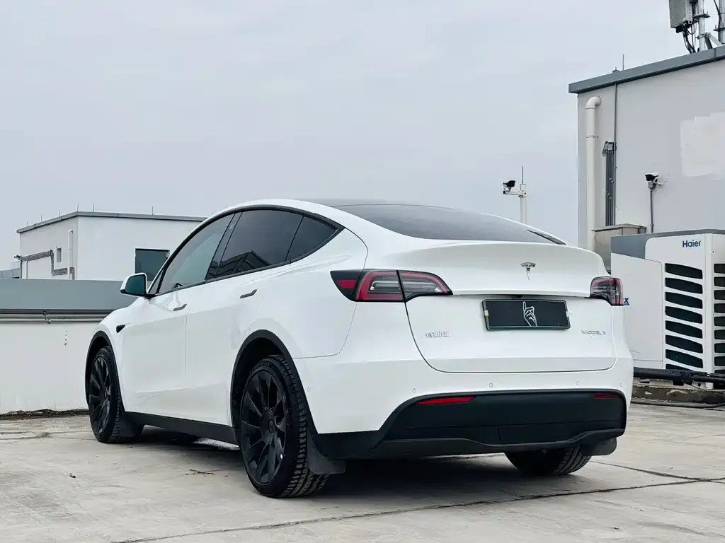 Tesla Model Y 2022 из CN, фото 5
