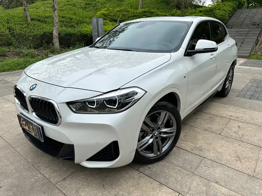 BMW X2 2021 из CN, фото 1