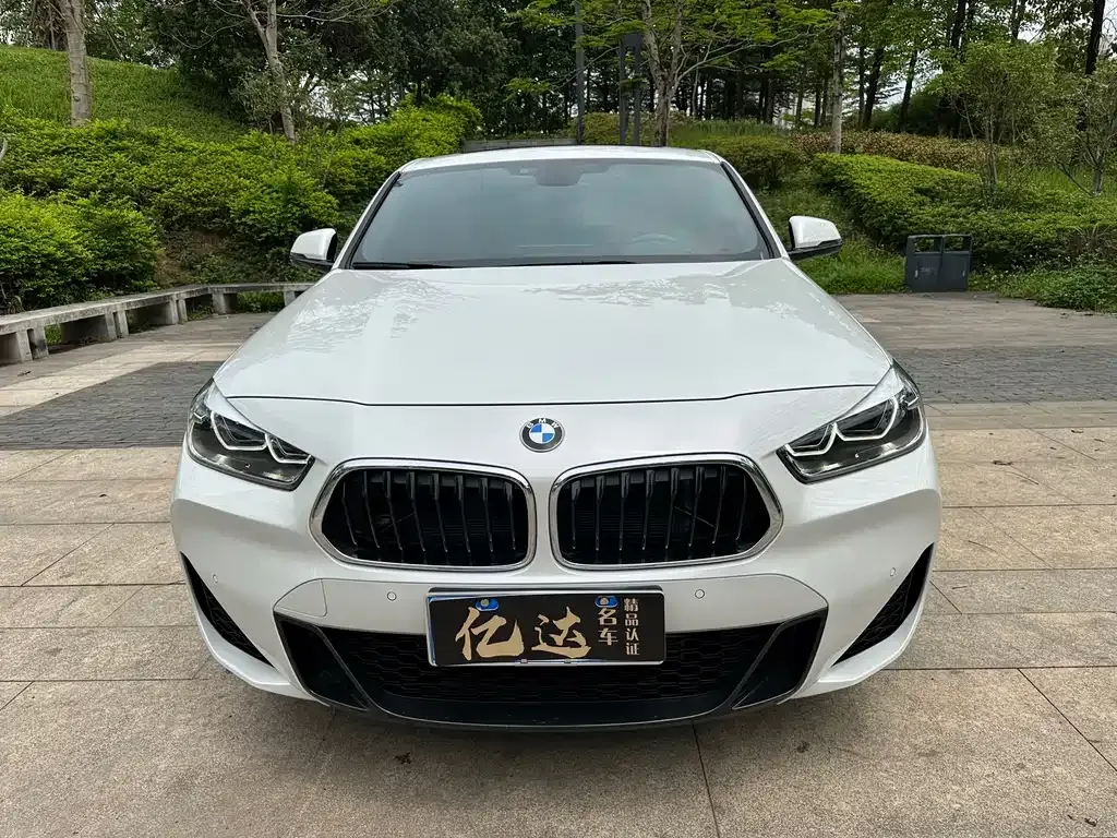 BMW X2 2021 из CN, фото 3