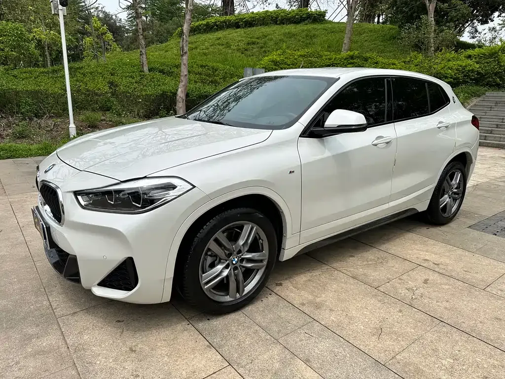 BMW X2 2021 из CN, фото 10